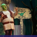 Shrek 172